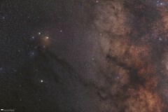 The Field of Ophiuchi