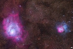 The Flowers of Sagittarius