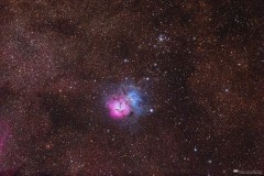 The Trifid