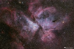 The Flower of the Deep