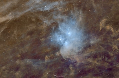 The Mists of Pleiades Redux