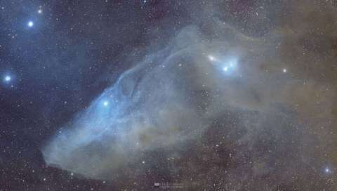 The Blue Horsehead