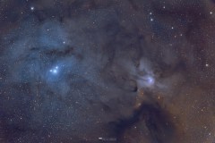 The Winds of Rho Ophiuchi