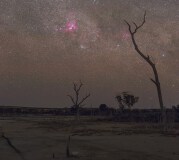 Nebulas in the Wind