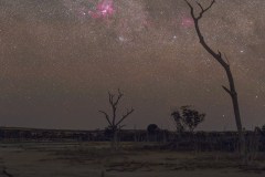 Nebulas in the Wind