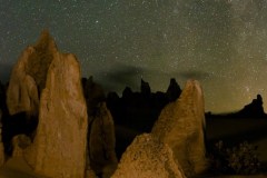 In the Desert Night, A Single Flower Still Blooms