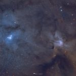 The Winds of Rho Ophiuchi
