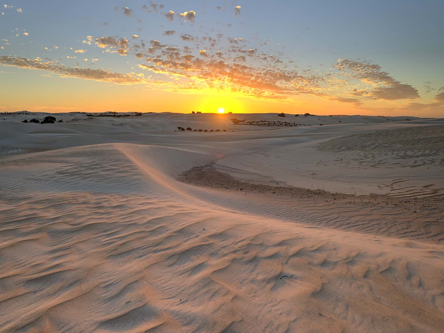Dunes (near Wedge Point) - Stellar Australis